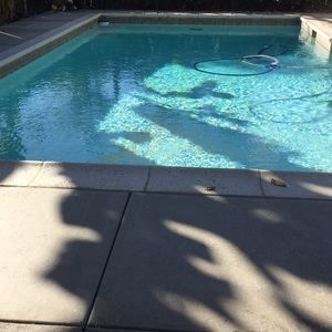 Meet your Posher, Alma